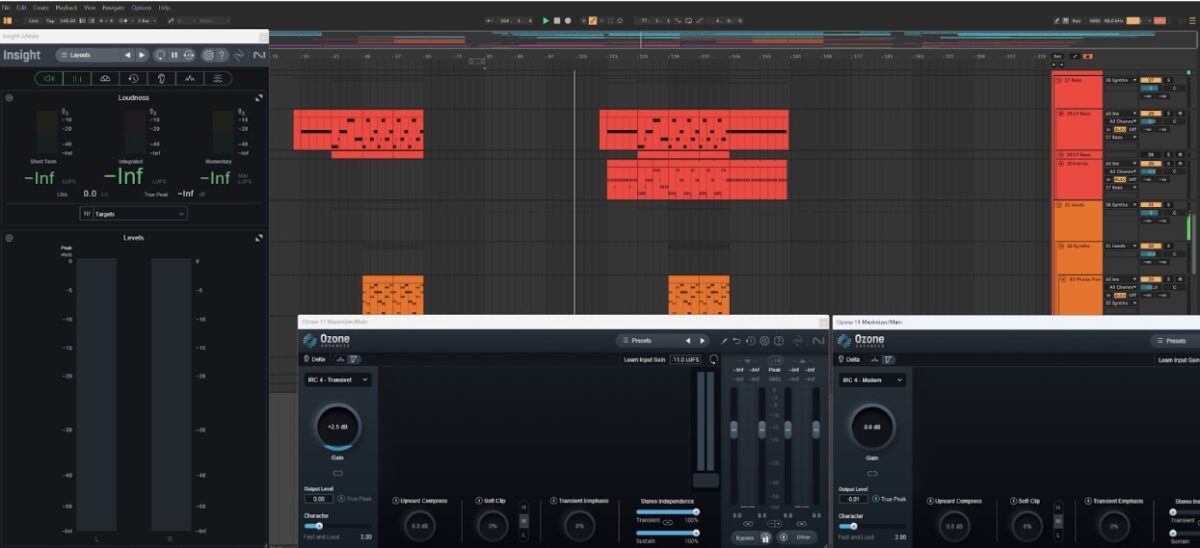 Transient mode focuses on those critical initial moments of a sound, adding energy and punch to almost any sound or mix