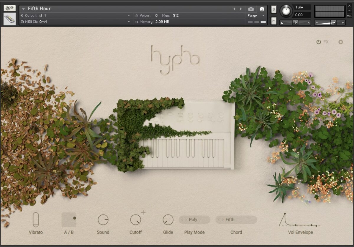 Hypha