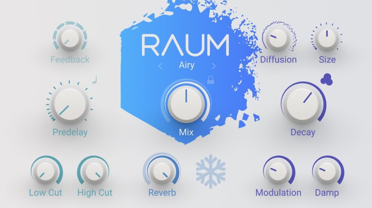 Raum reverb plugin settings