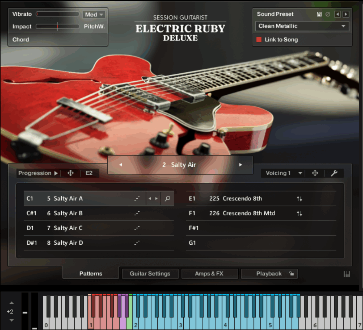 session guitarist electric ruby deluxe