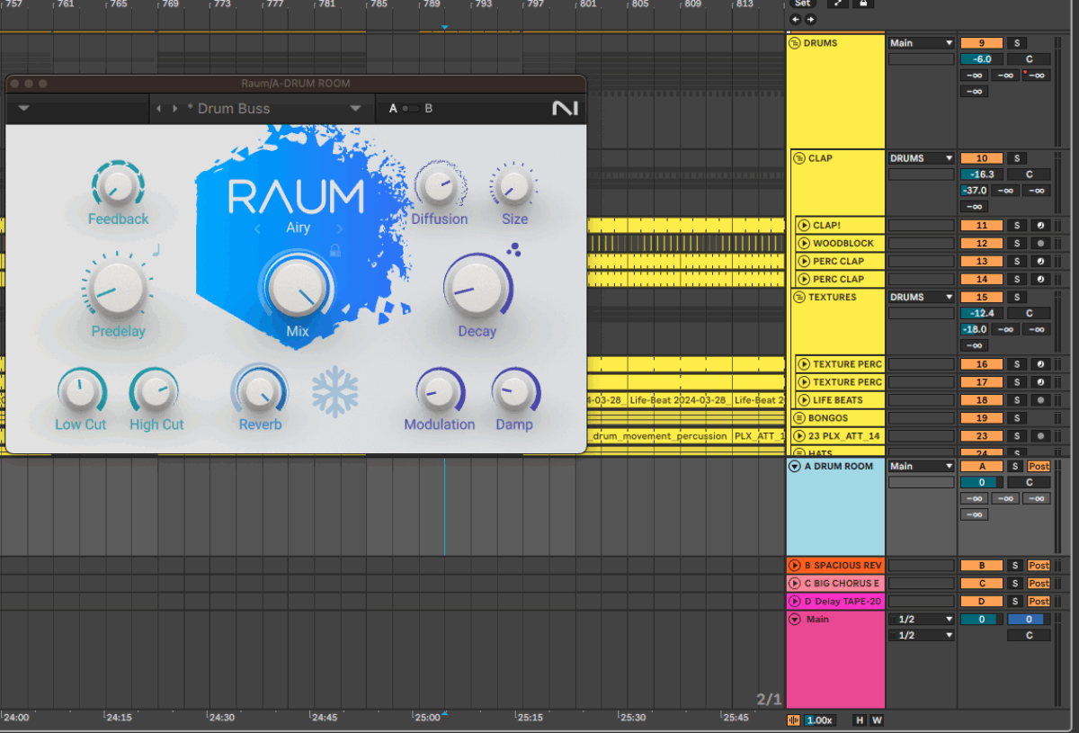 Corren Cavini Raum Drum Group Reverb Bus